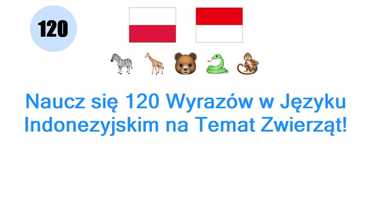 Naucz się 120 Wyrazów w Języku Indonezyjskim na Temat Zwierząt!